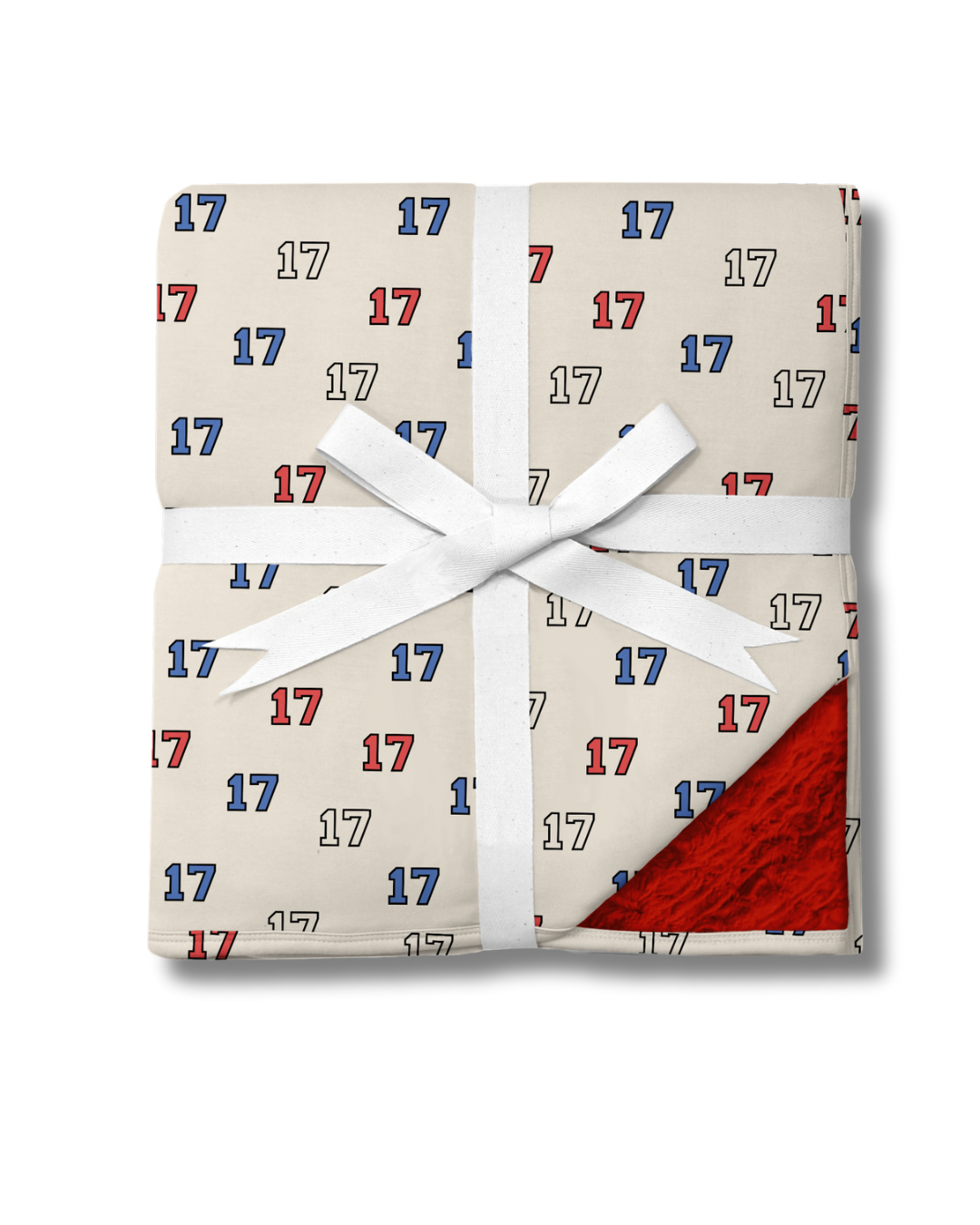 PRESALE: 17 Sideline Snuggle 50x50 Plush Blanket